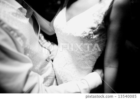 Bride and bridegroom in wedding marriage holding hands Bride and bridegroom in wedding marriage holding hands 13540085