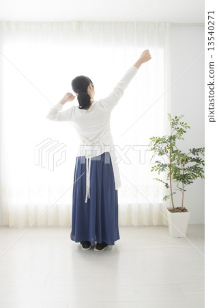 Housewife's day 13540271