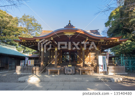 Hikawa no Mori Park 13540480