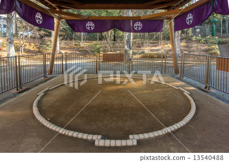 Ring in Hikawa no Mori Park, Shibuya Ward, Tokyo 13540488