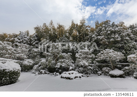 Winter dentistry 13540611