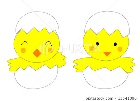 Chick	 13541096