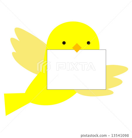bird bird 13541098