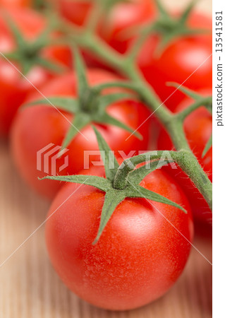 Tufted tomato Tufted tomato 13541581