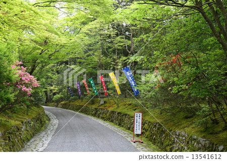 Kyoto Akayama Zen-japon entrance 13541612
