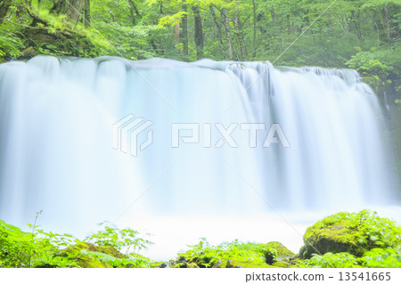 初夏的Ch子Otaki 初夏的Ch子Otaki 13541665