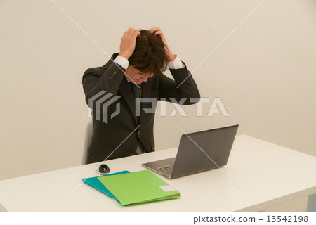 Businessman         13542198
