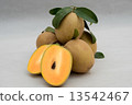Fruit of a supporter (Sapoce) 13542467