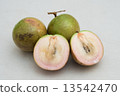 Milk fruit fruit 13542470