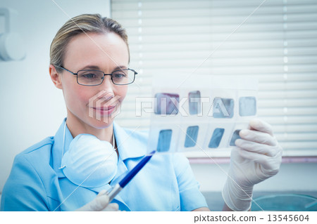 Female dentist looking at x-ray Female dentist looking at x-ray 13545604