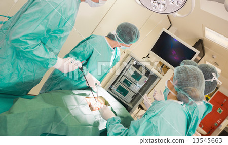 Medical students practicing surgery on model 13545663