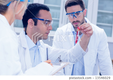 Science students working together in the lab Science students working together in the lab 13546029