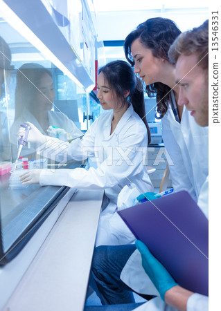 Science students using pipette in the lab 13546331