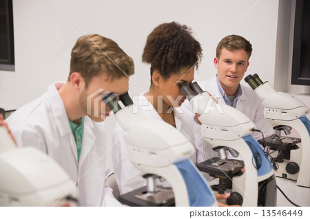 Medical students working with microscope 13546449