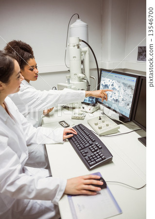Science students looking at microscopic image on computer 13546700