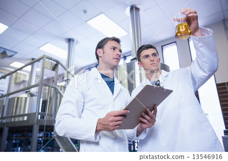 Two men in lab coat looking at the beaker with beer Two men in lab coat looking at the beaker with beer 13546916