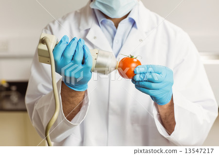 Food scientist using device on tomato 13547217