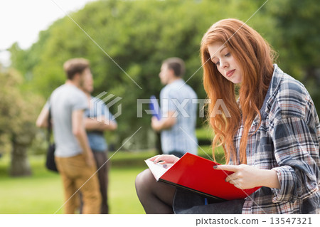 Pretty student studying outside on campus 13547321