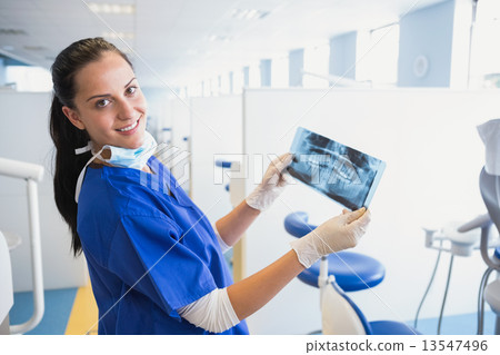 Smiling dentist examining a x-ray 13547496