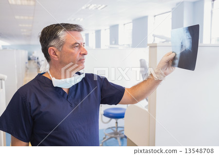 Happy dentist examining a x-ray Happy dentist examining a x-ray 13548708