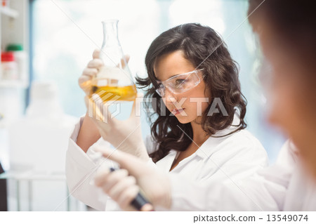 Science students working in the laboratory 13549074