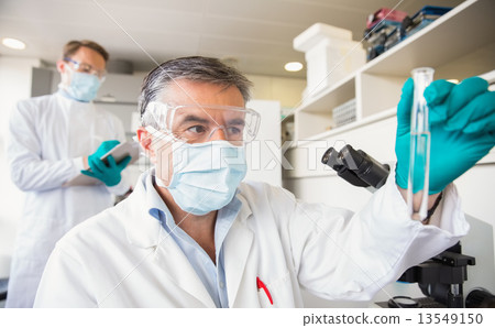 Team of scientists working together 13549150