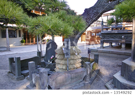 Shibamata Takumi的Ruizu Matsu Shibamata Takumi的Ruizu Matsu 13549292