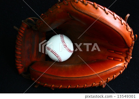 Baseball hardball 13549301