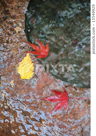 Autumn's Townscape Poetry Izumikaku 13549929