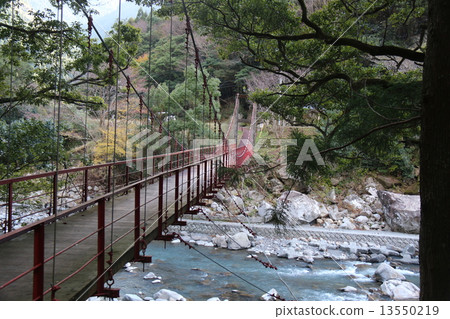 Shimao Suspension Bridge Shimao Suspension Bridge 13550219