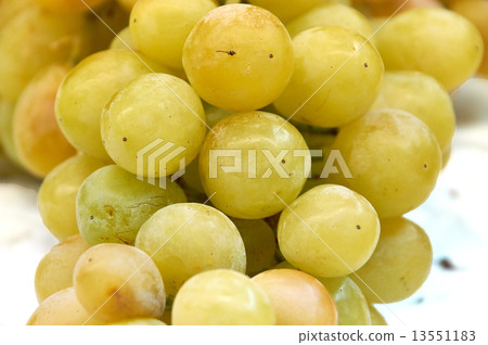 Yellow green large bunch of grapes Yellow green large bunch of grapes 13551183