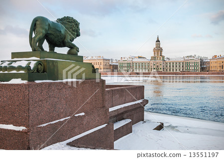 Cabinet of Curiosities in St. Petersburg at dawn in winter 13551197