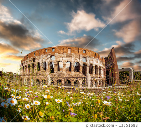 Colosseum with spring flowers in Rome, Italy 13551688