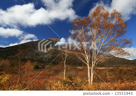 萬代高原的秋葉 13551943