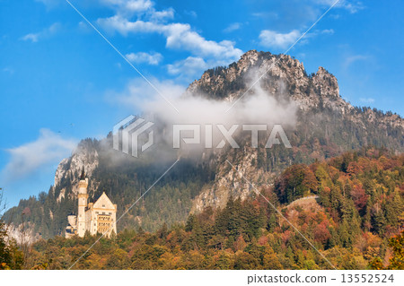 Neuschwanstein castle with autumn forest in Bavaria, Germany 13552524