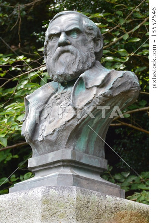 西博爾德的胸圍(西博爾德送貨上門/長崎市長崎長崎縣) 西博爾德的胸圍(西博爾德送貨上門/長崎市長崎長崎縣) 13552546