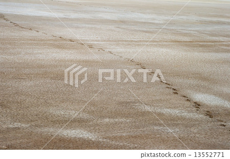 Salty land and footprints Salty land and footprints 13552771