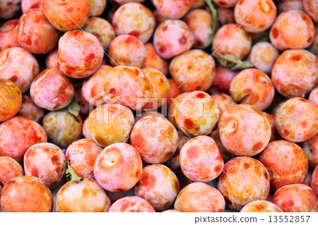 Fresh plum 13552857