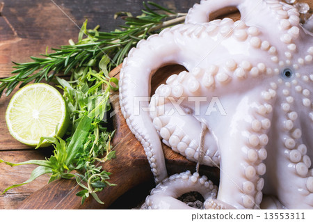 Octopus on ice Octopus on ice 13553311