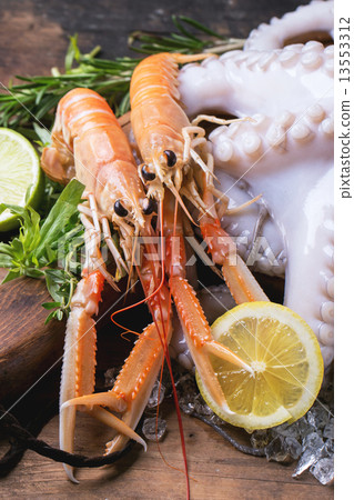 Langoustines and octopus Langoustines and octopus 13553312