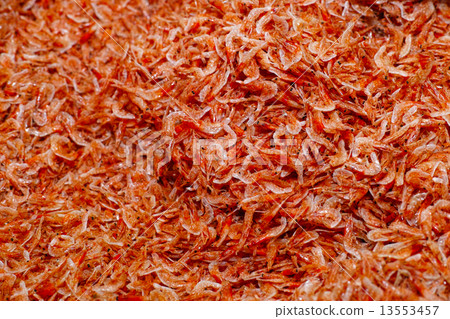 Dried sakura prawn Dried sakura prawn 13553457