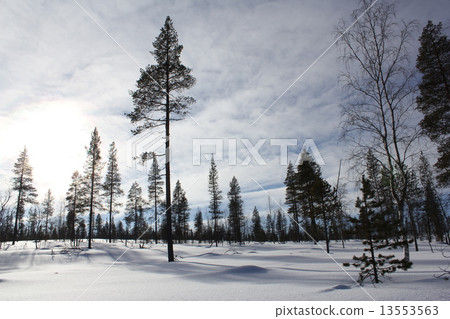 Lapland Lapland 13553563