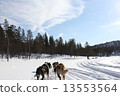 Dog sled 13553564
