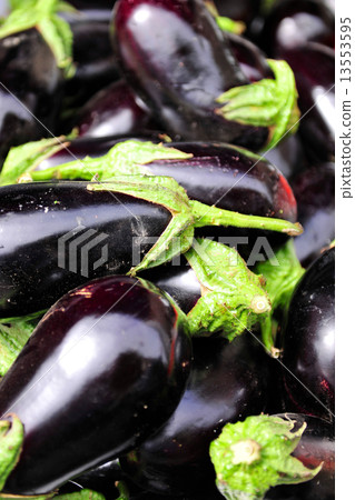 Fresh Nasbi 13553595