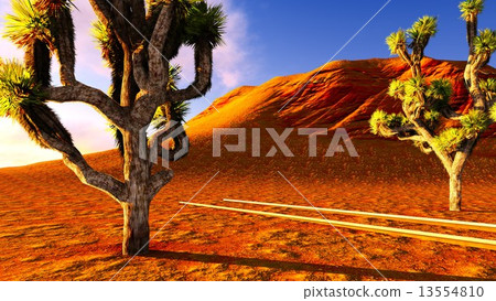 Joshua trees and railroad 13554810