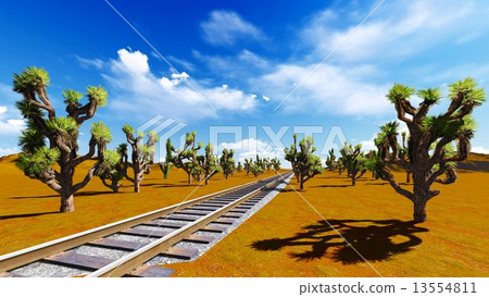 Joshua trees and railroad 13554811