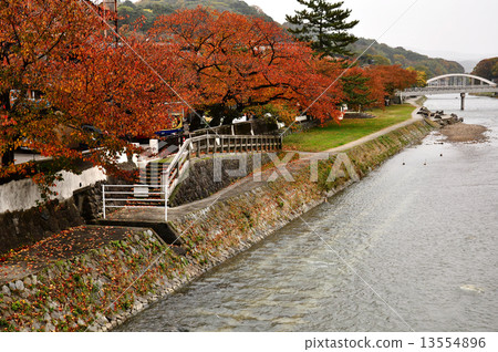 Kanazawa Asano River 13554896