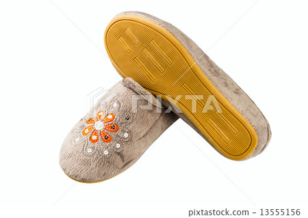 female slippers 13555156