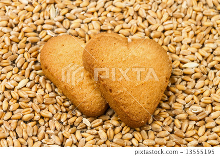 shortcake shortcake 13555195