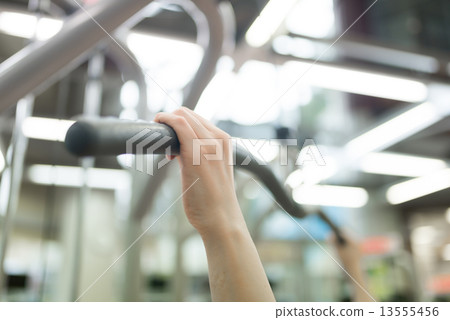 sports gym sports gym 13555456